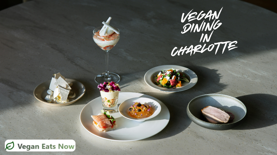 Vegan Dining in Charlotte: Where to Go in 2026