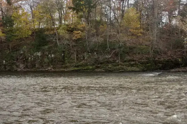Bridgewater