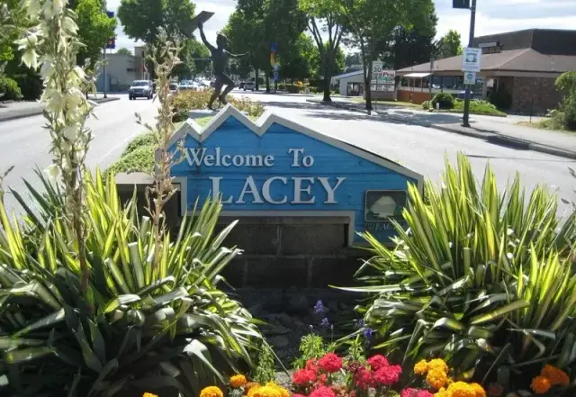 Lacey