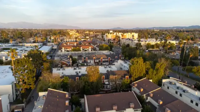Reseda