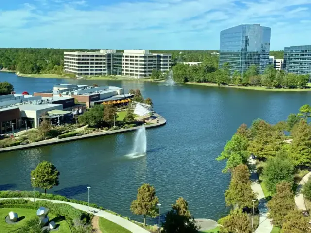 The Woodlands