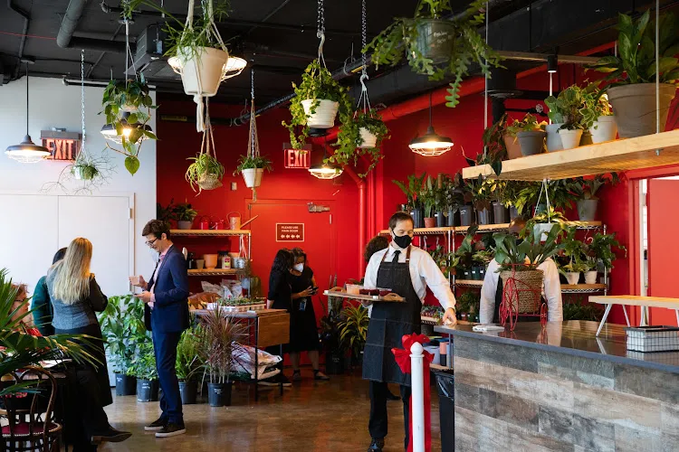 Mae Mae Café & Plant Shop